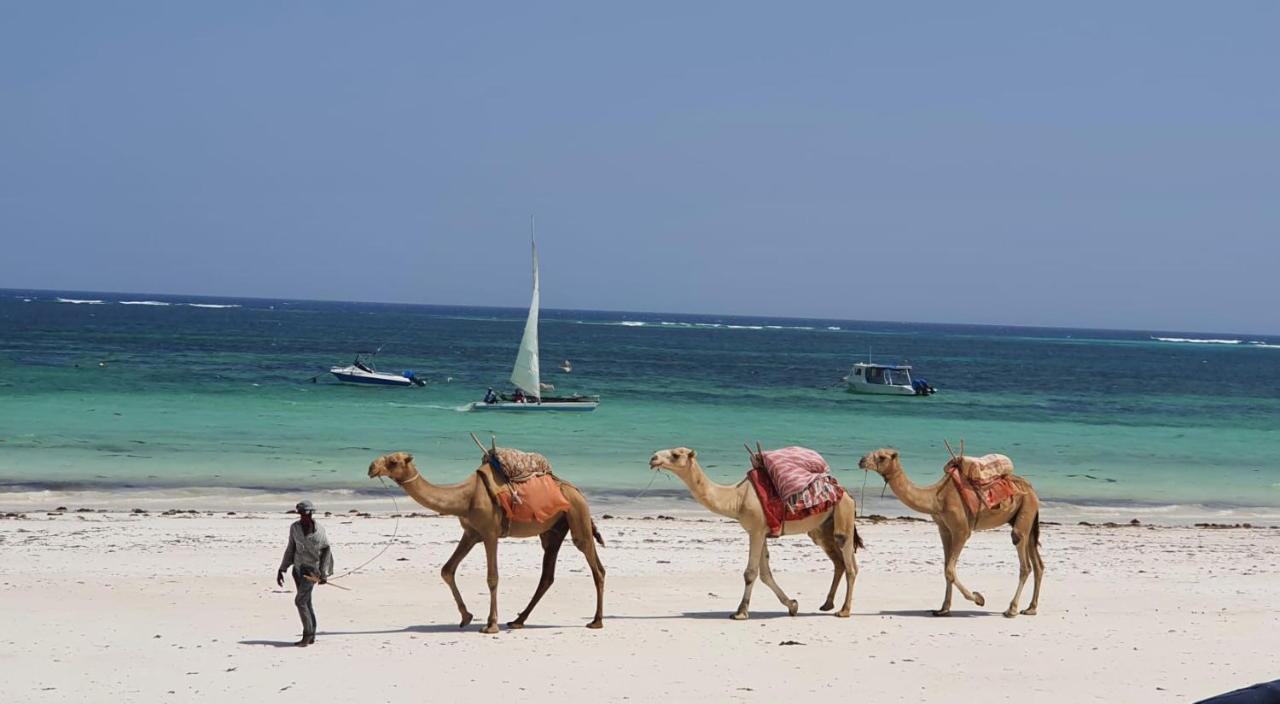 Asha Boutique Hotel Diani Beach Kültér fotó